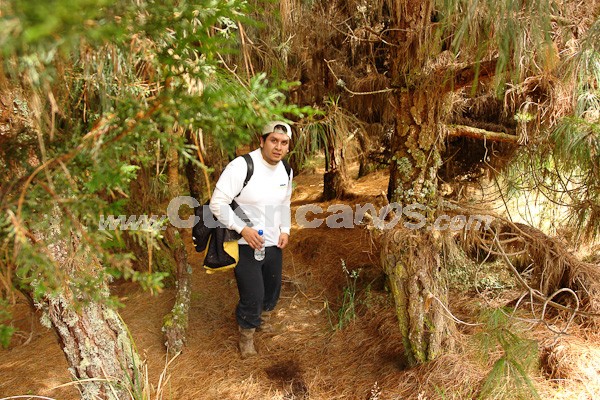 Caminata al Bosque de Aguarongo