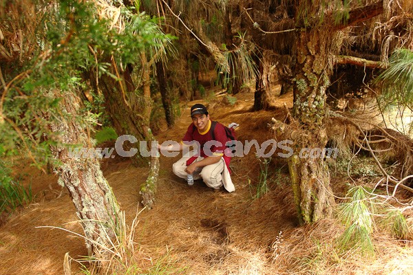 Caminata al Bosque de Aguarongo