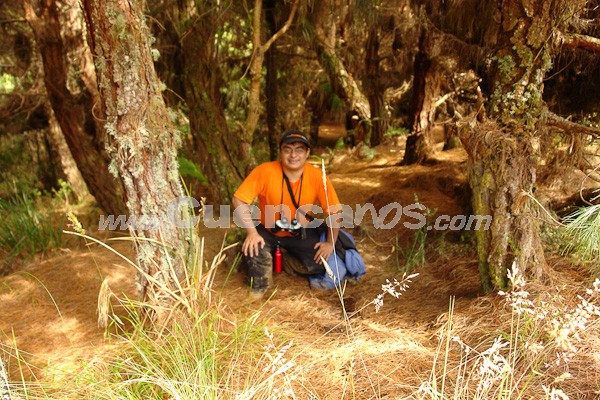 Caminata al Bosque de Aguarongo