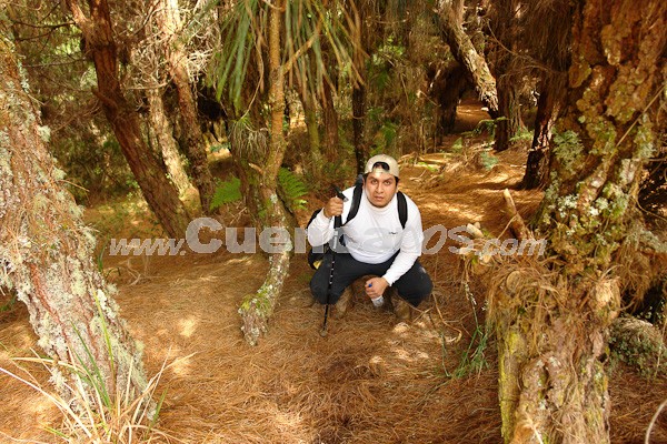 Caminata al Bosque de Aguarongo