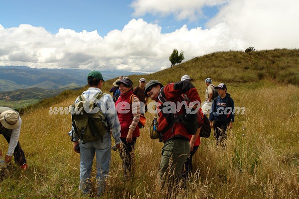 Caminata al Bosque de Aguarongo