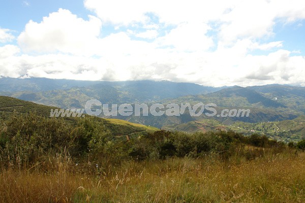 Caminata al Bosque de Aguarongo
