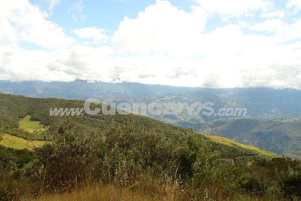 Caminata al Bosque de Aguarongo