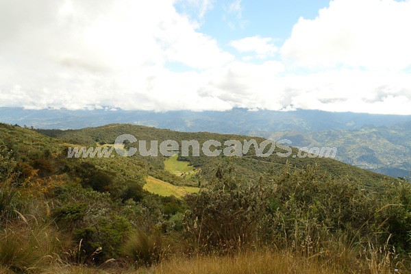 Caminata al Bosque de Aguarongo