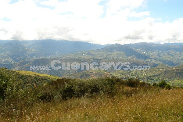 Caminata al Bosque de Aguarongo