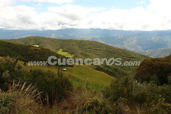 Caminata al Bosque de Aguarongo