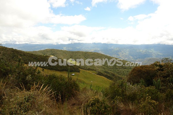Caminata al Bosque de Aguarongo