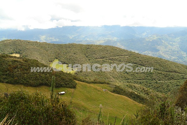 Caminata al Bosque de Aguarongo