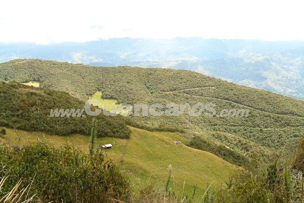 Caminata al Bosque de Aguarongo