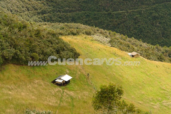 Caminata al Bosque de Aguarongo