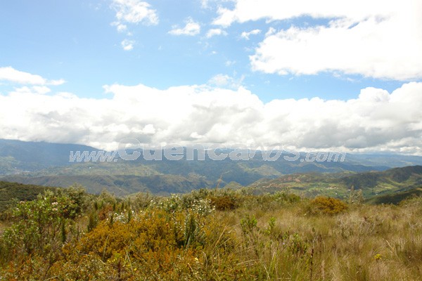Caminata al Bosque de Aguarongo
