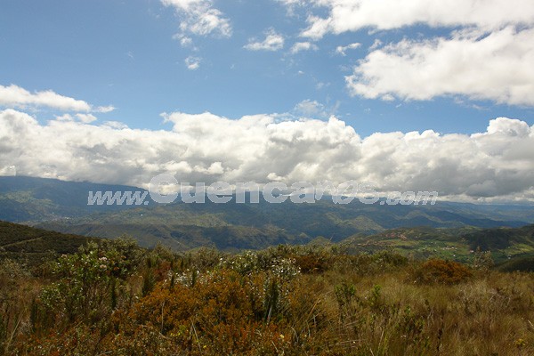 Caminata al Bosque de Aguarongo