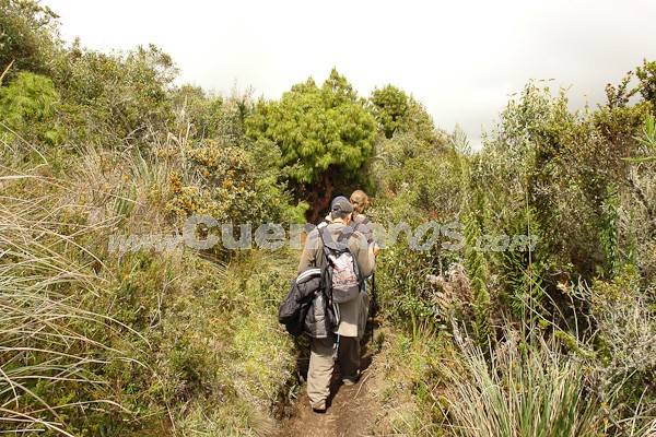 Caminata al Bosque de Aguarongo
