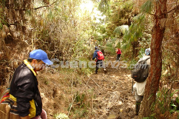 Caminata al Bosque de Aguarongo