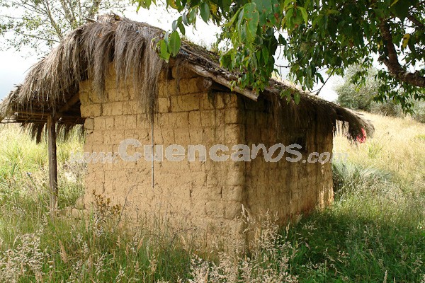 Caminata al Bosque de Aguarongo