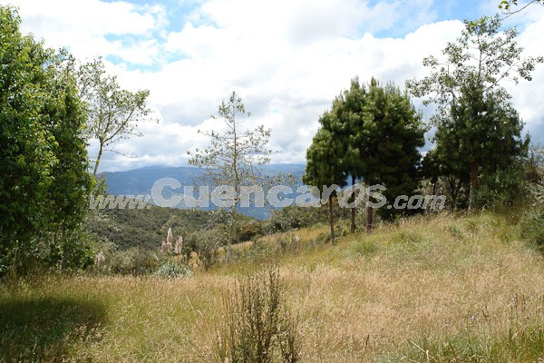Caminata al Bosque de Aguarongo