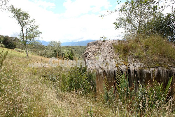 Caminata al Bosque de Aguarongo
