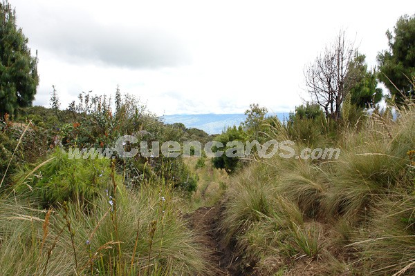 Caminata al Bosque de Aguarongo