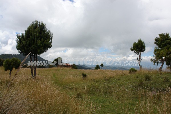 Caminata al Bosque de Aguarongo