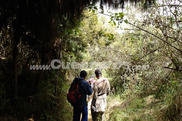 Caminata al Bosque de Aguarongo