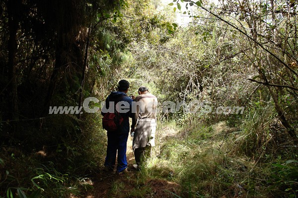Caminata al Bosque de Aguarongo