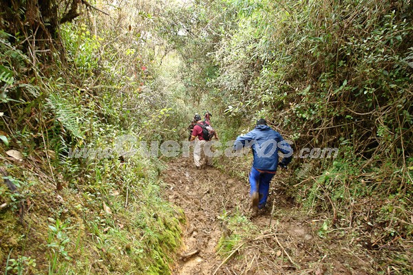 Caminata al Bosque de Aguarongo
