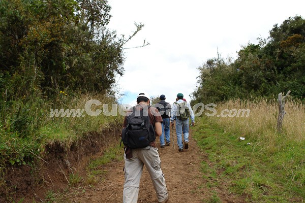 Caminata al Bosque de Aguarongo