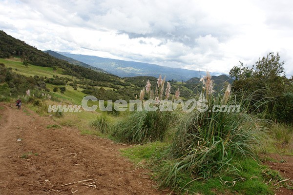 Caminata al Bosque de Aguarongo