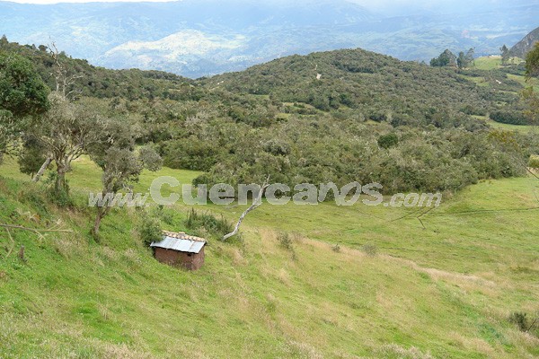Caminata al Bosque de Aguarongo