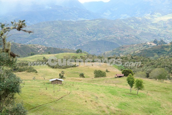 Caminata al Bosque de Aguarongo