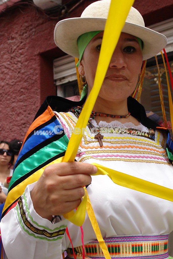 Pase del Niño Viajero 2008