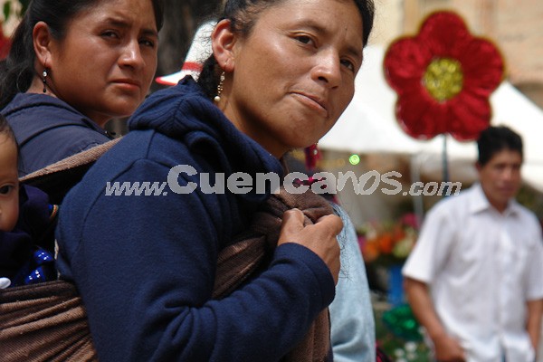 Pase del Niño Viajero 2008
