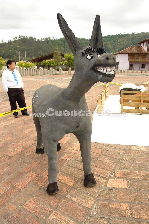 Año Viejo 2008