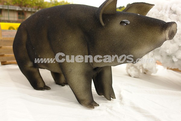 Año Viejo 2008