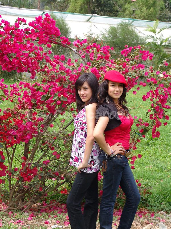 Paseo de las Candidatas
