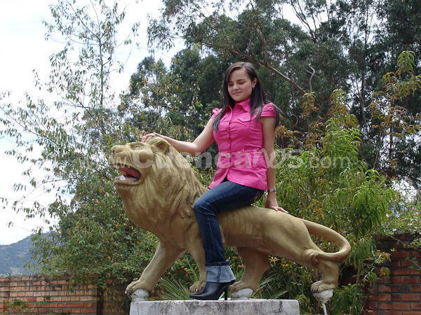 Segundo Paseo de las Candidatas