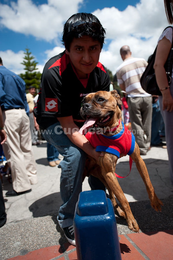 Festival Canino Mall 2009