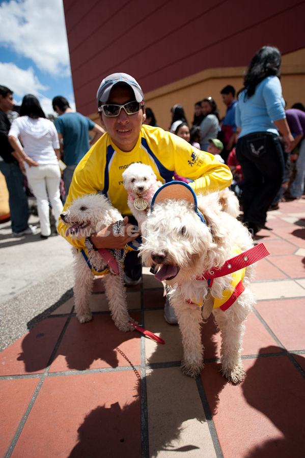 Festival Canino Mall 2009