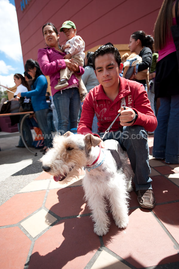 Festival Canino Mall 2009