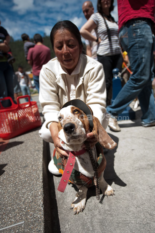 Festival Canino Mall 2009