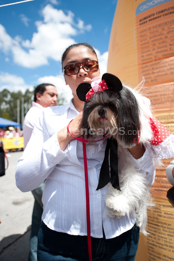 Festival Canino Mall 2009