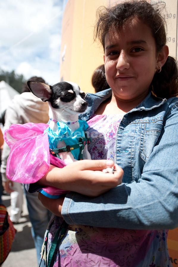 Festival Canino Mall 2009
