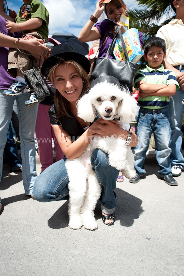 Festival Canino Mall 2009