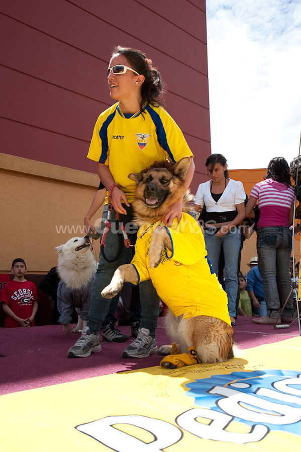 Festival Canino Mall 2009