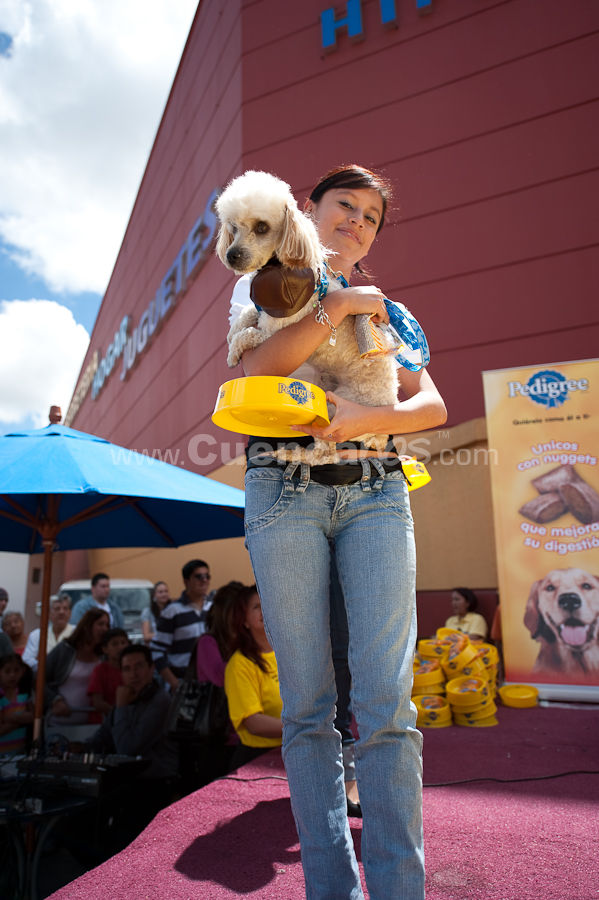 Festival Canino Mall 2009