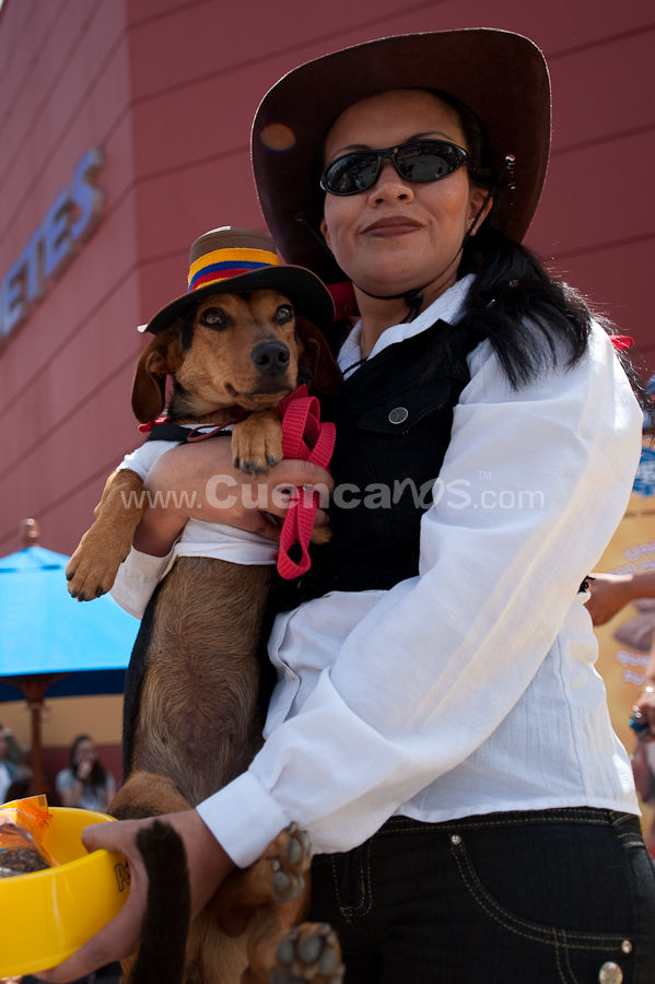 Festival Canino Mall 2009