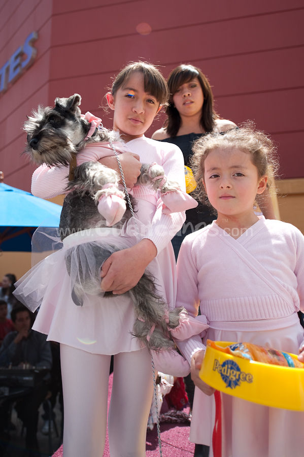Festival Canino Mall 2009