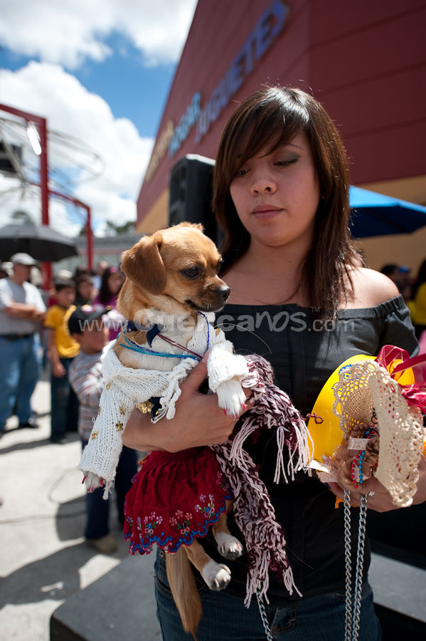 Festival Canino Mall 2009