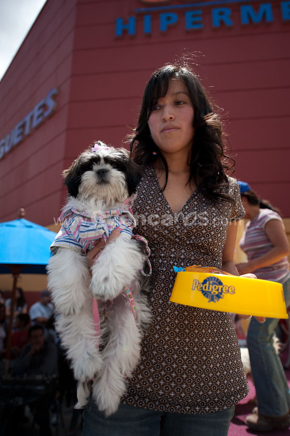 Festival Canino Mall 2009