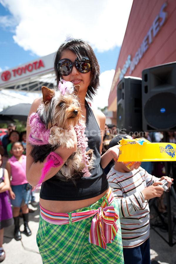 Festival Canino Mall 2009